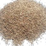 Egyptian Caraway Seeds for Export