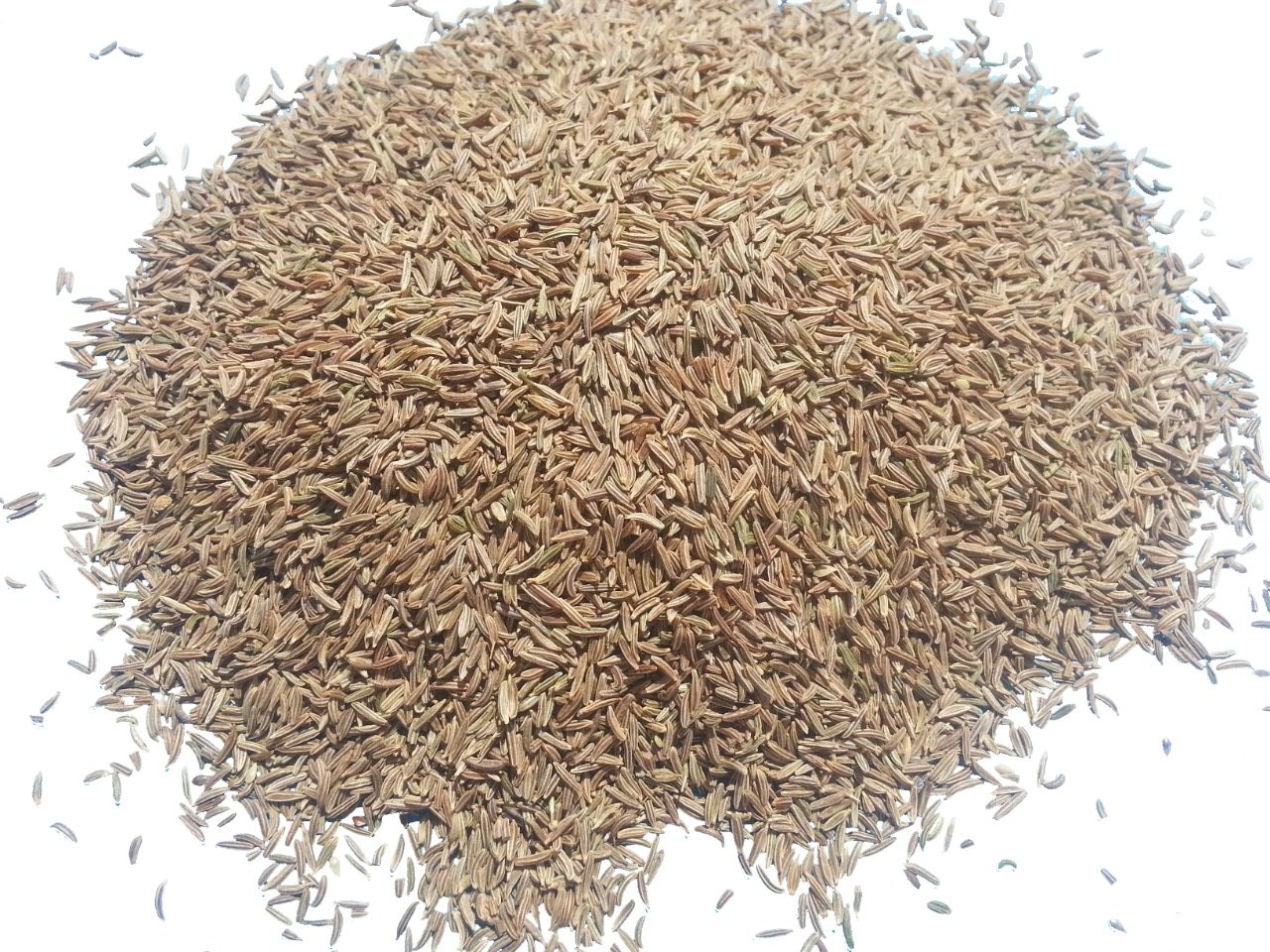 Egyptian Caraway Seeds for Export