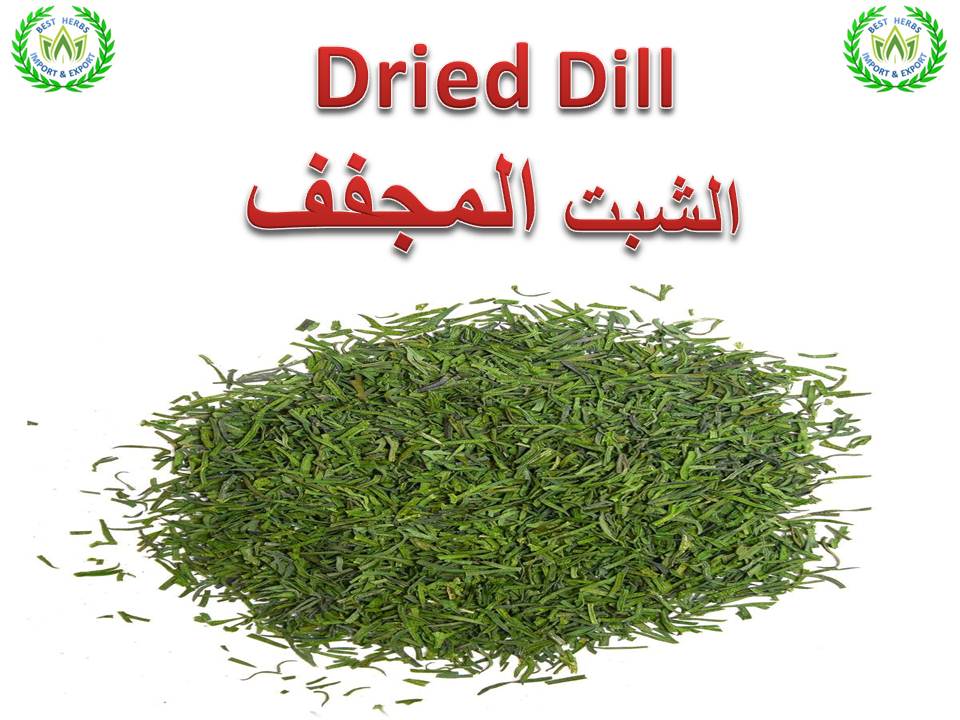 Dried dill for export